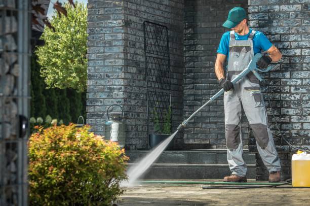 Best Driveway Pressure Washing  in Waimalu, HI